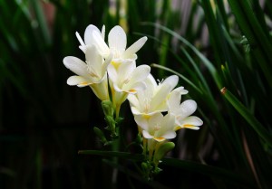 2011022017080985