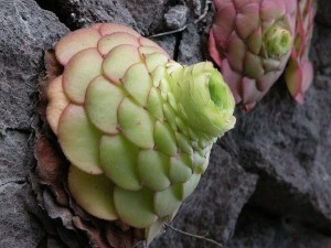 20120926162352_JhnRh.thumb.700_0