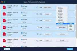 Convert PDF to Word 3